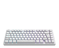 Dark Project ALU81A Terra Nostra White ISO DE Multilingual Support - 1456415 - zdjęcie 6